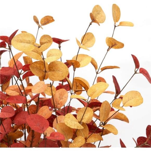 6 Pcs Artificial Eucalyptus Stems Fall Decorations with Fall Eucalyptus Leaves - Picture 5 of 8